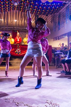 Bild 759 - Latuff 21014 die Wiemersdorfer Karnevalsveranstaltung